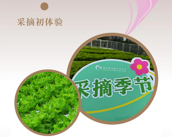 深圳月子中心的快乐时光，解锁2024年各种活动项目39